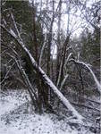 dscf9895