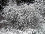 dscf0034