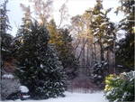 dscf0071