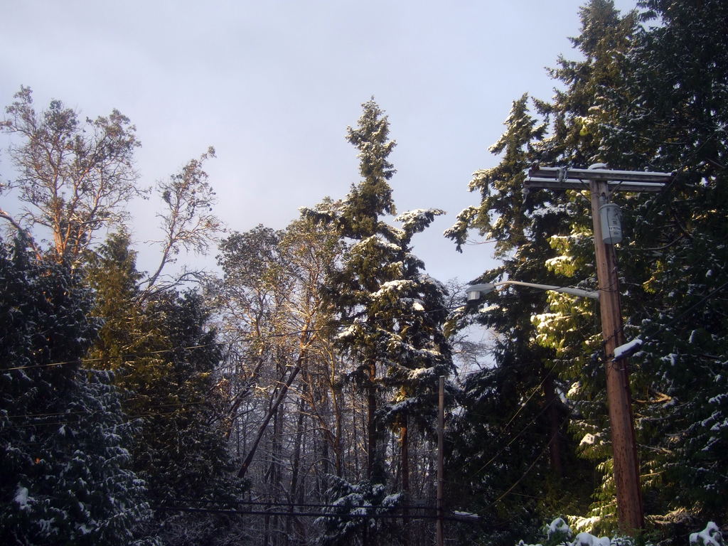 dscf0072