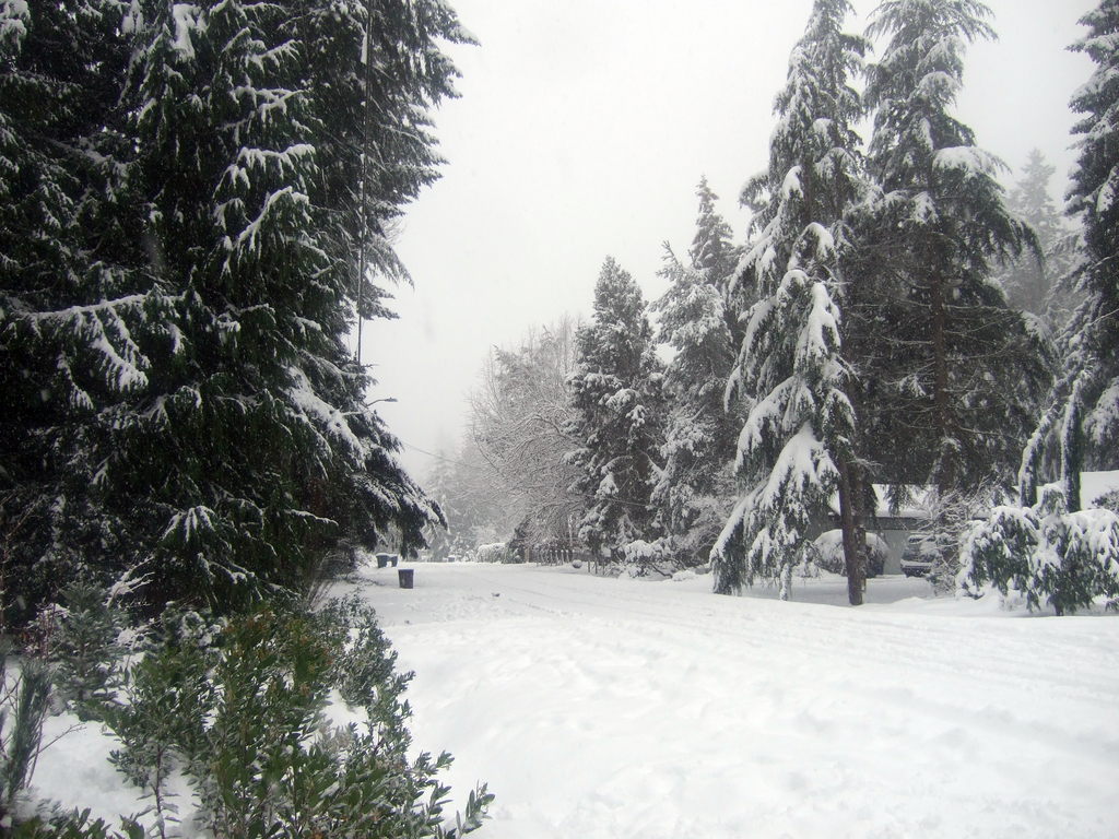 dscf0087