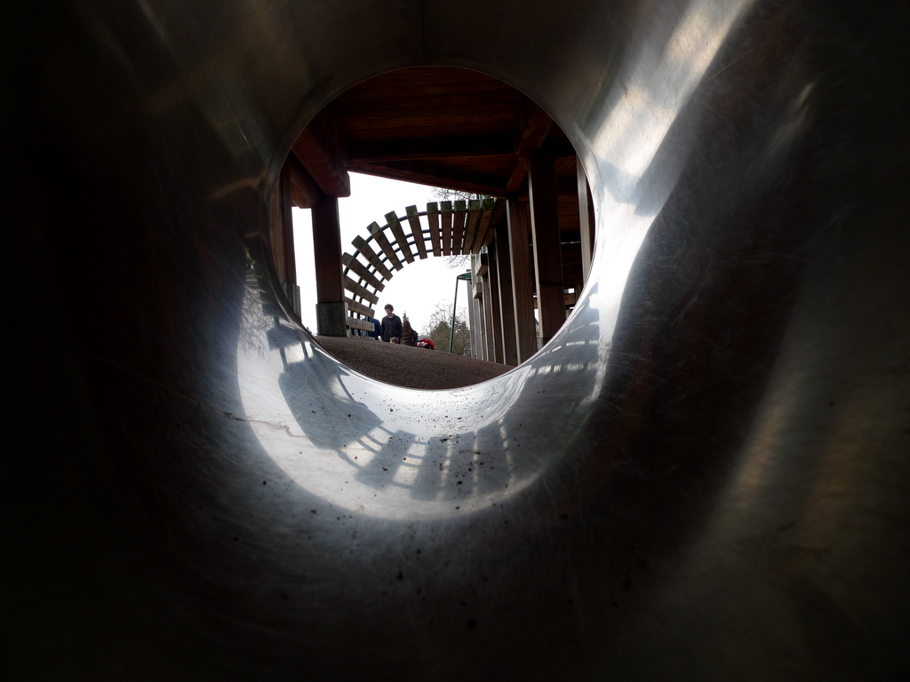 p1000519