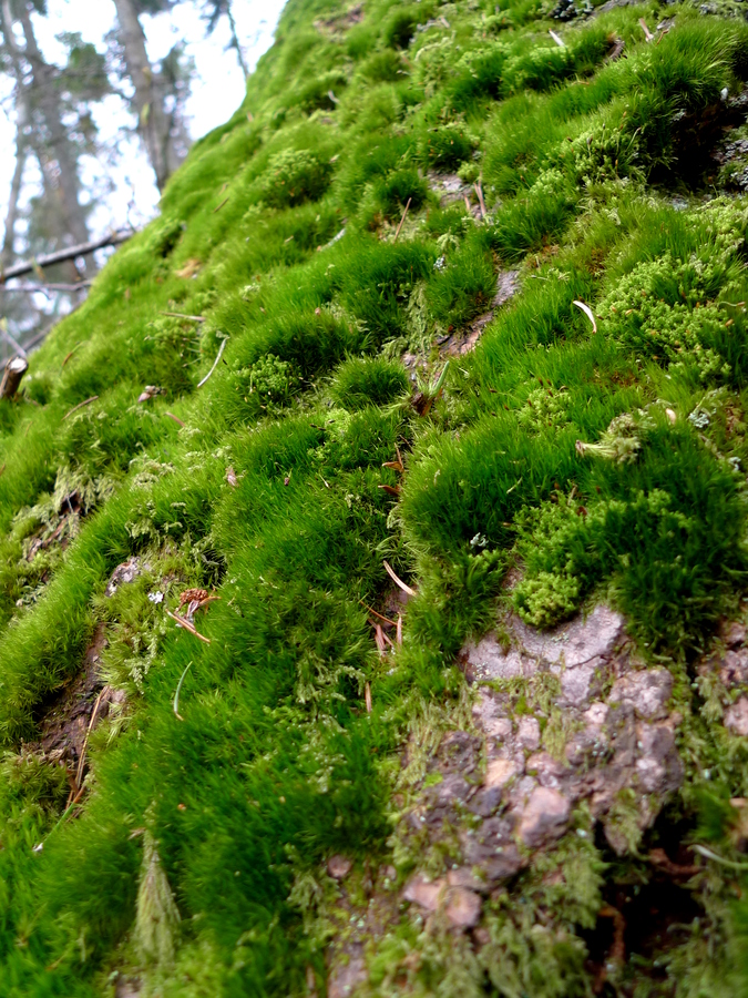 p1000608