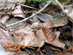 p1000619