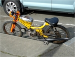 p1000695u