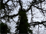 p1000732