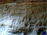 p1000737