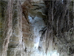 p1000749