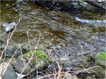 p1000788