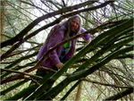 p1010036