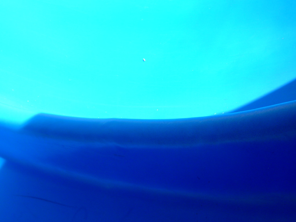 p1010419