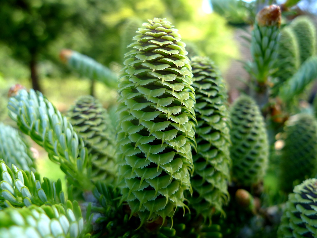 p1010442