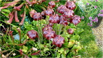 p1010574