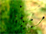 p1010579