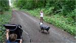 p1010820
