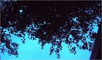 p1010827pl