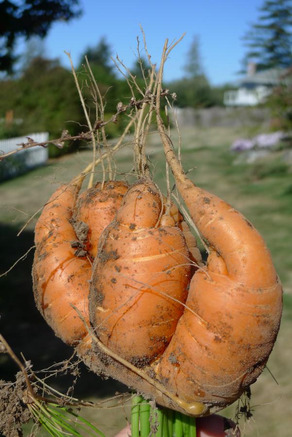 00197