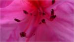 p1030711