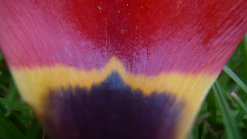 p1030802