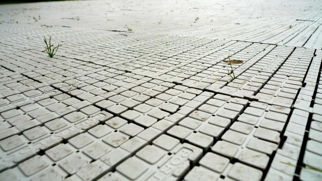 p1040158l