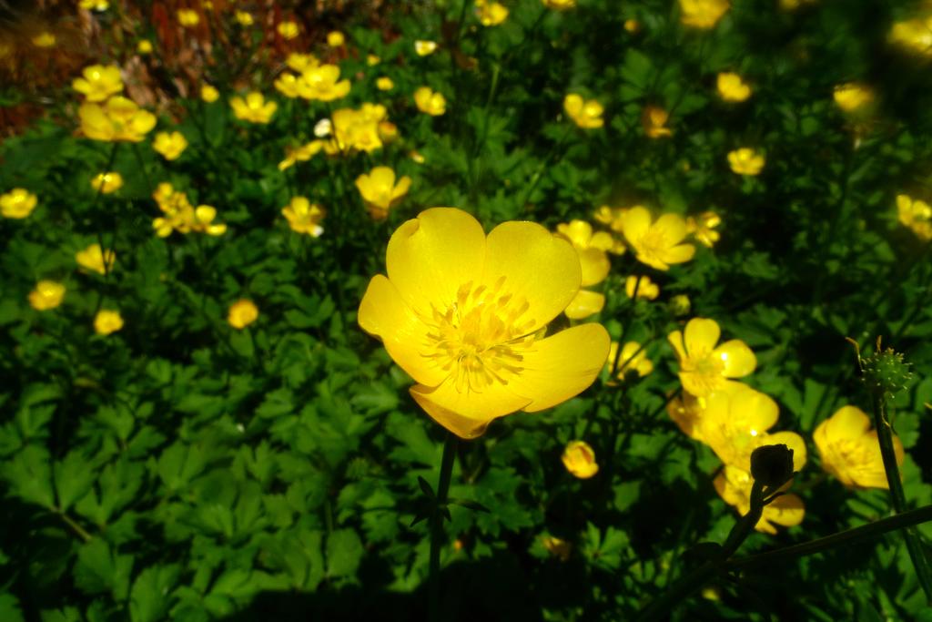 p1040260l