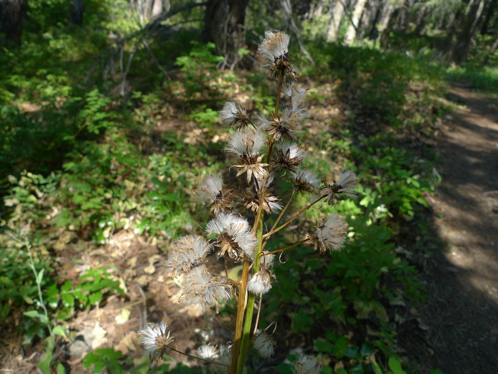 p1050176