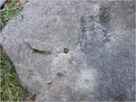 dscf0435