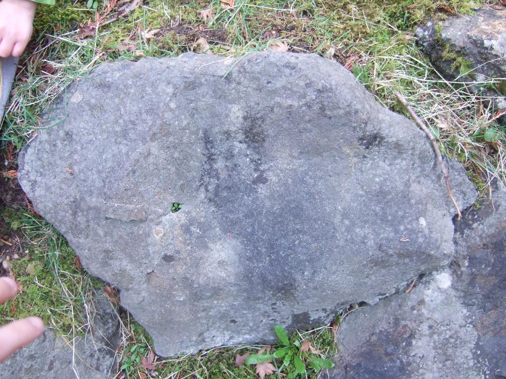 dscf0436