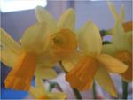 dscf0567