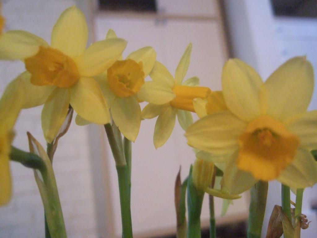 dscf0574