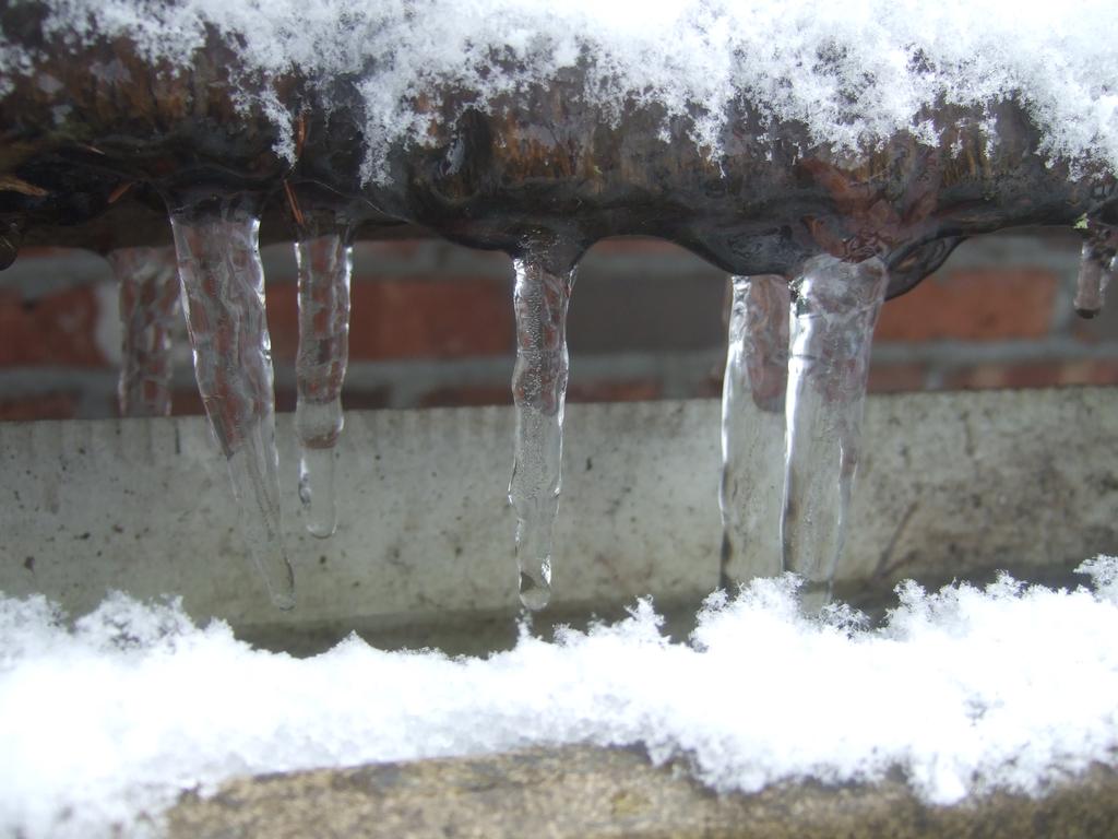 dscf0595