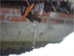 dscf0596