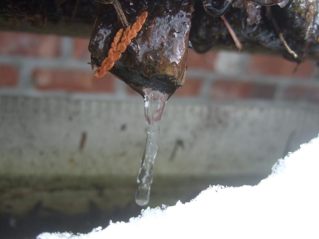 dscf0596