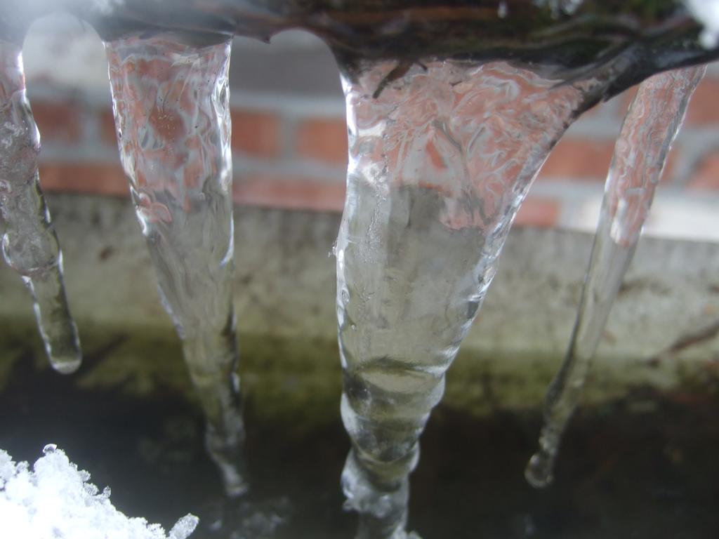dscf0605