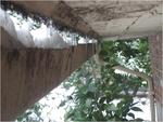 dscf0608