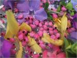 dscf0758
