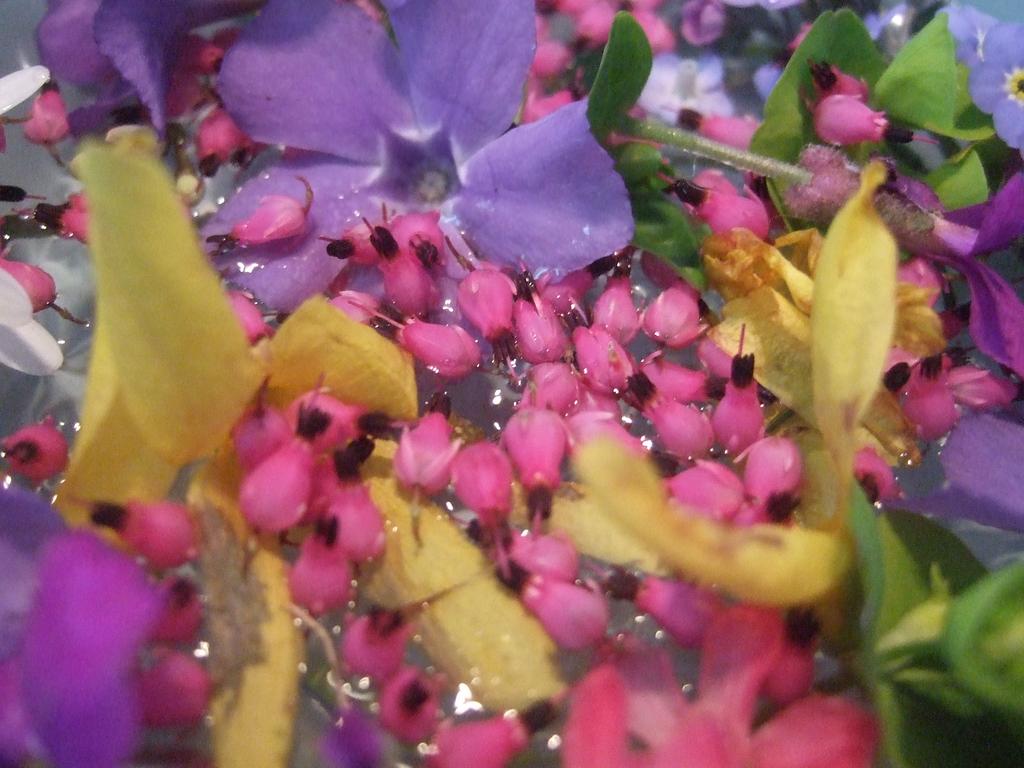 dscf0758