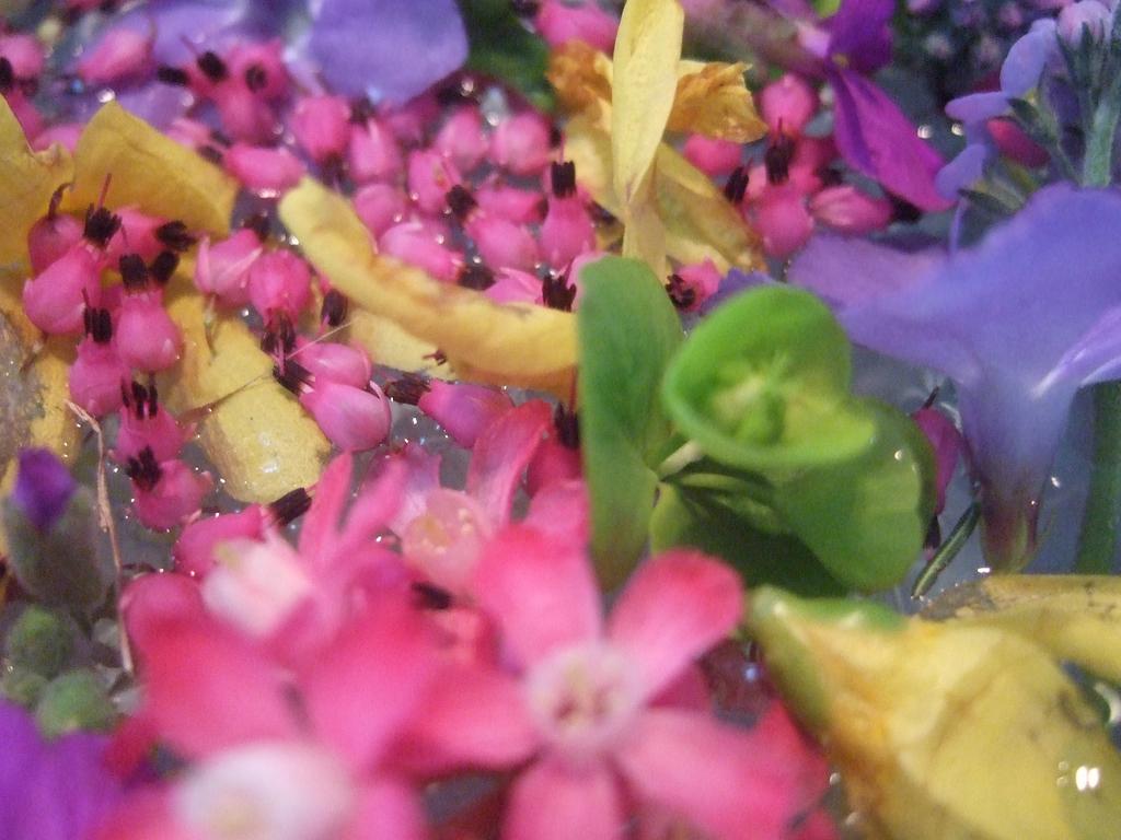 dscf0759