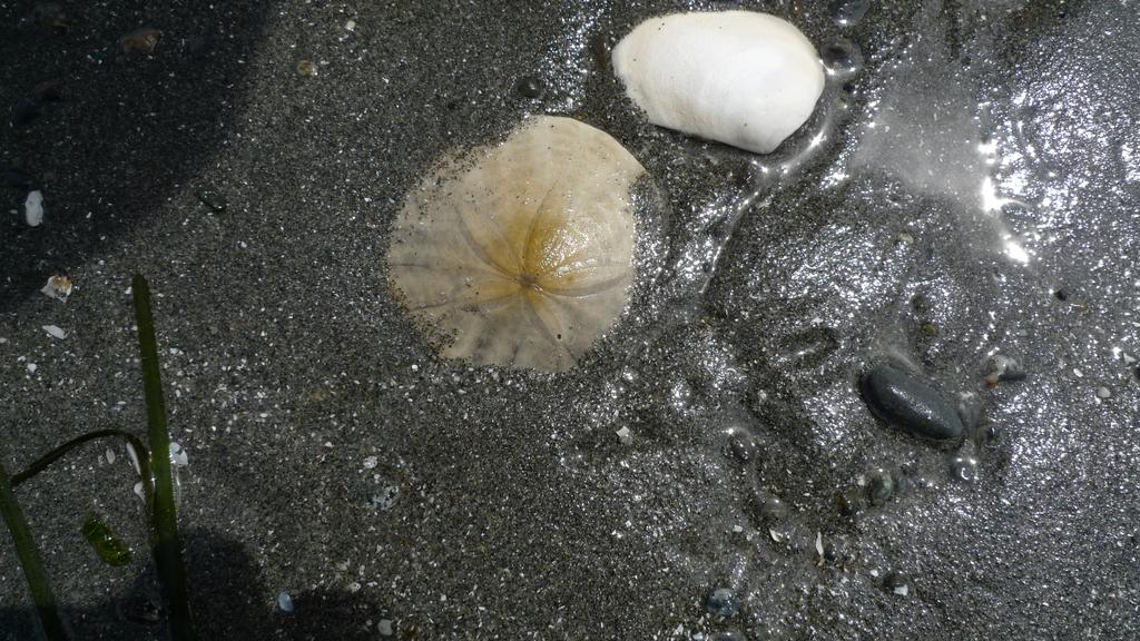p1070033