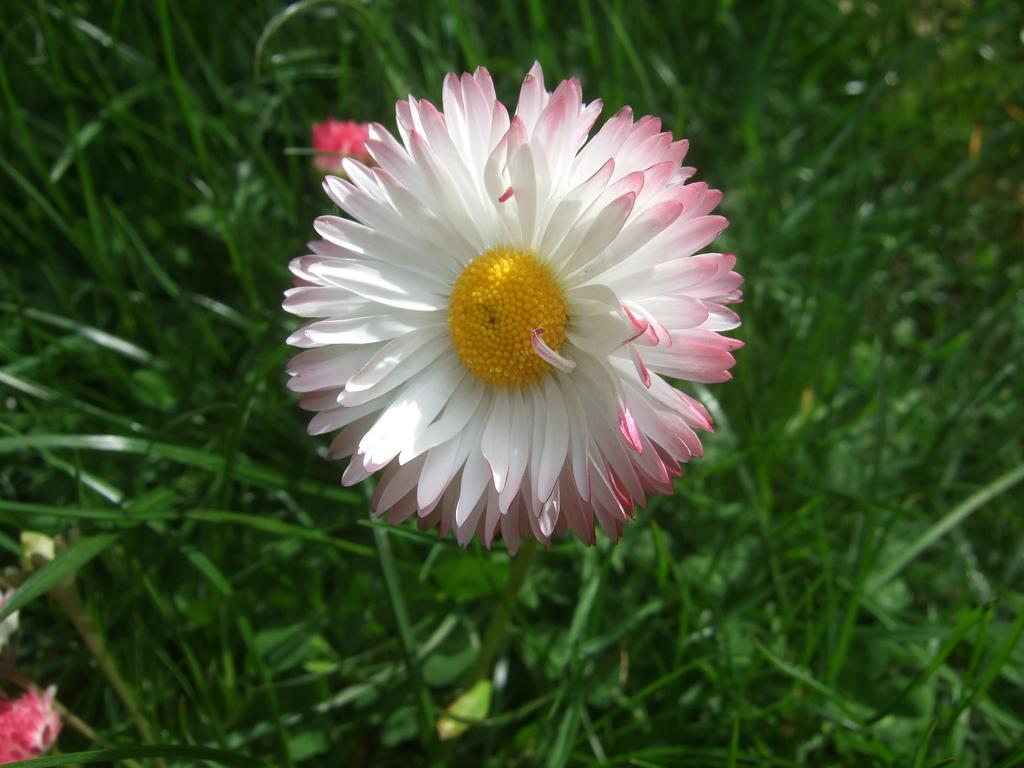 dscf0813