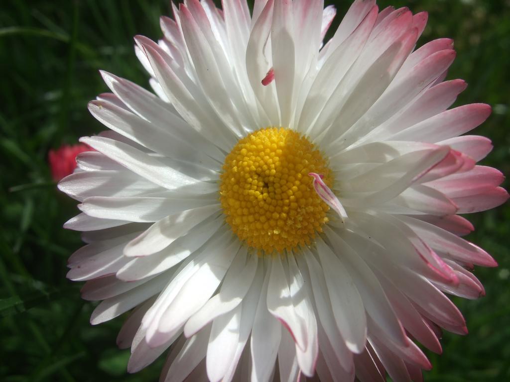 dscf0817