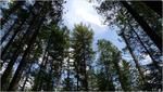 p1070273
