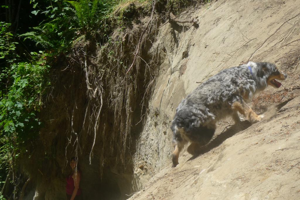 p1070660
