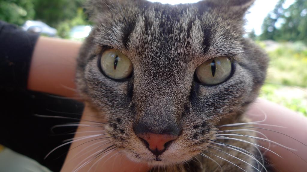 p1070708