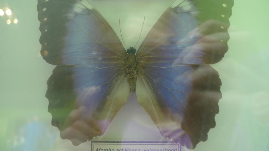 p1070748