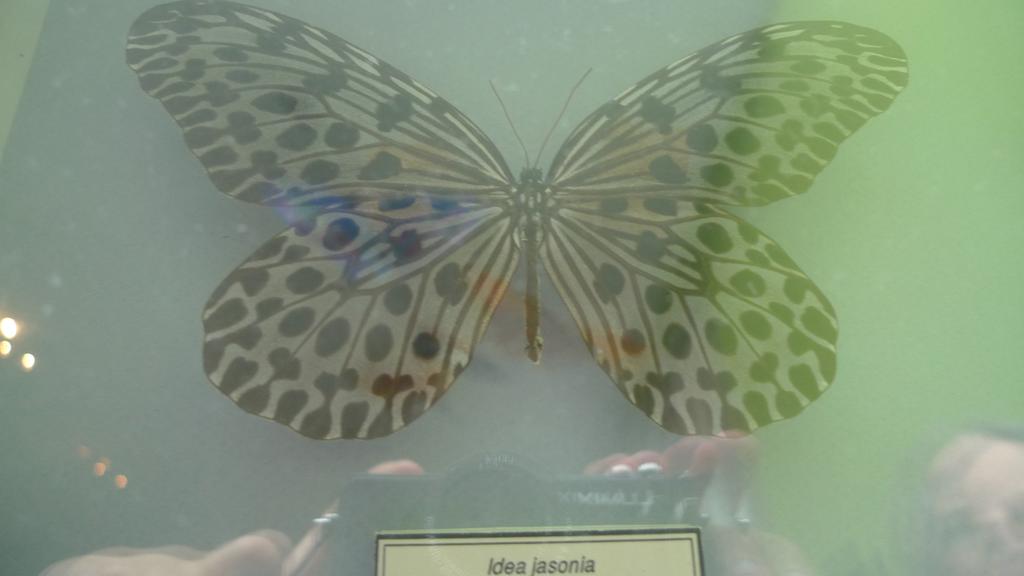 p1070749