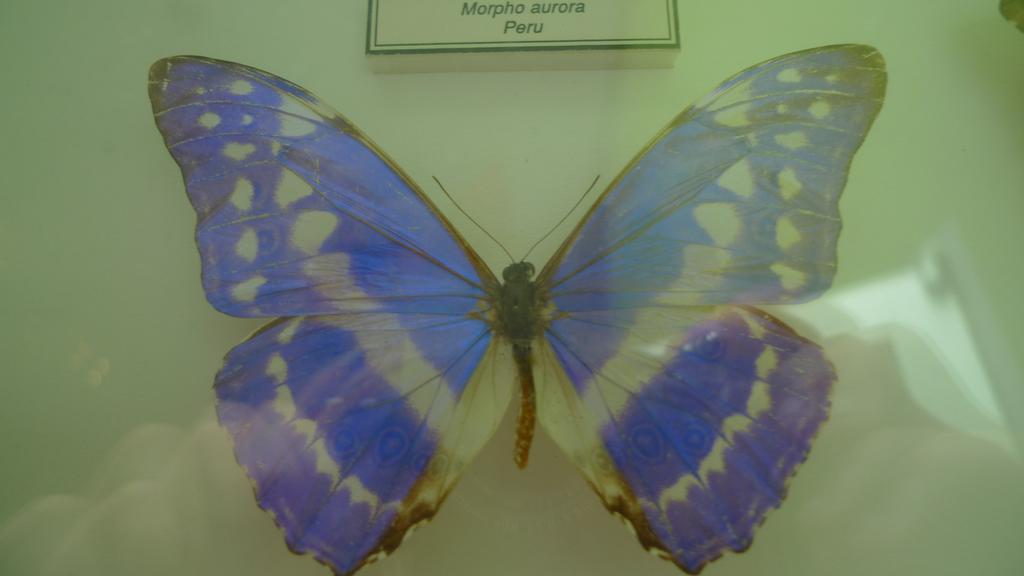 p1070751